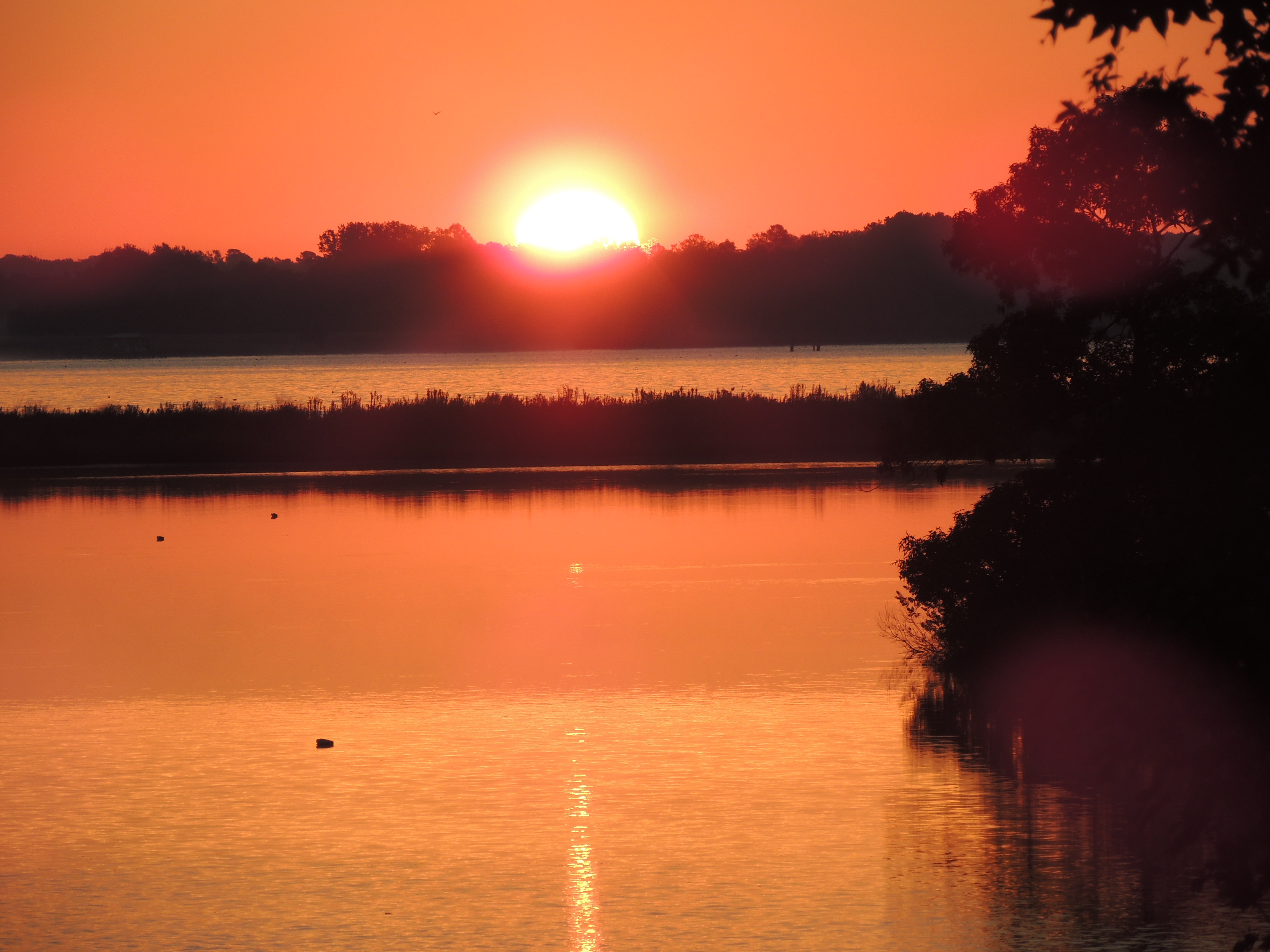 Photos Glebe Harbor Cabin Point