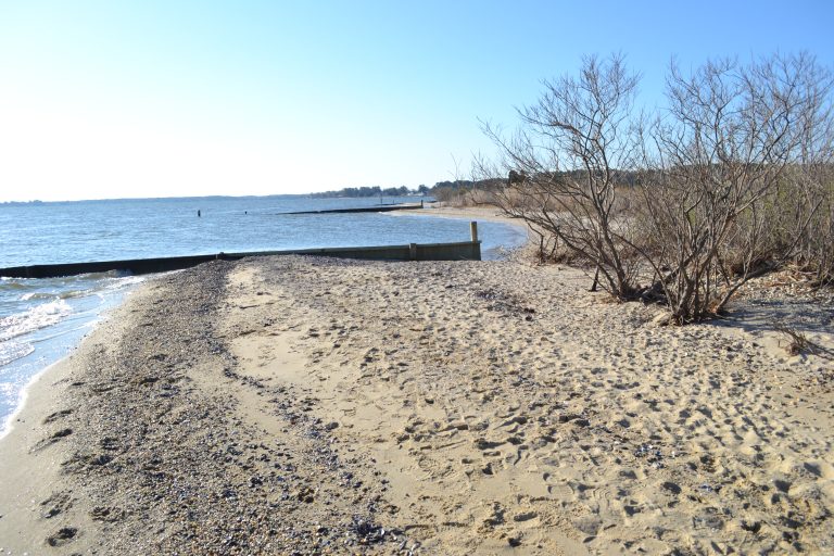 The Beaches Glebe Harbor Cabin Point