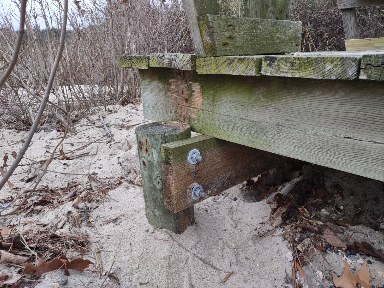 The observation platform at Cabin Point Beach has been leveled Glebe